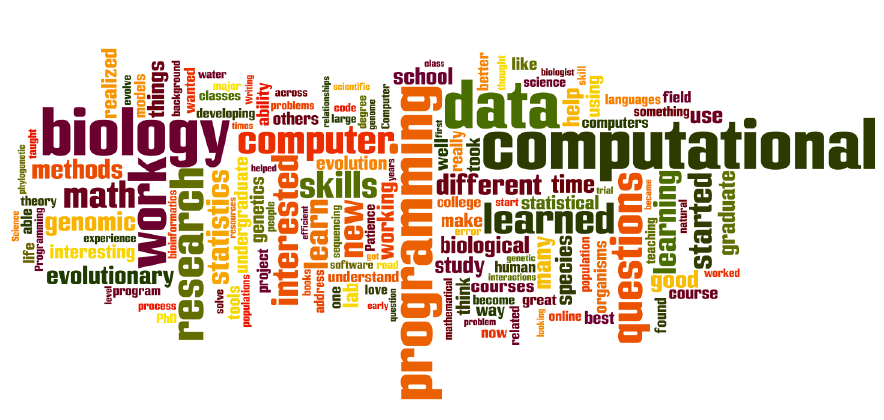Word Cloud of the cumulation of skills within the center