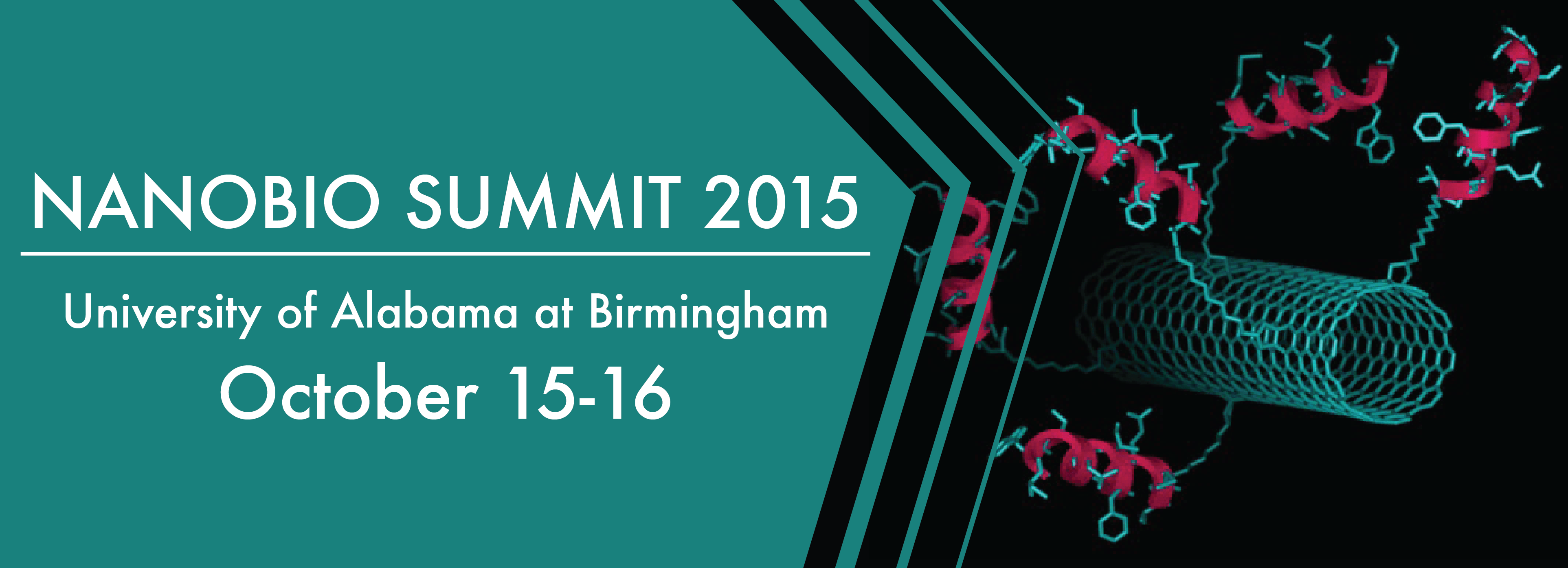 2015 NanoBio Summit