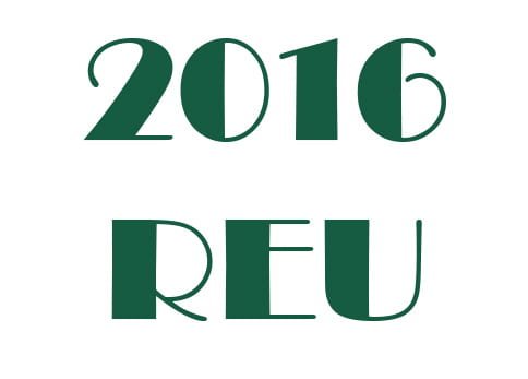 Application Deadline for REU Ended April 1, 2016