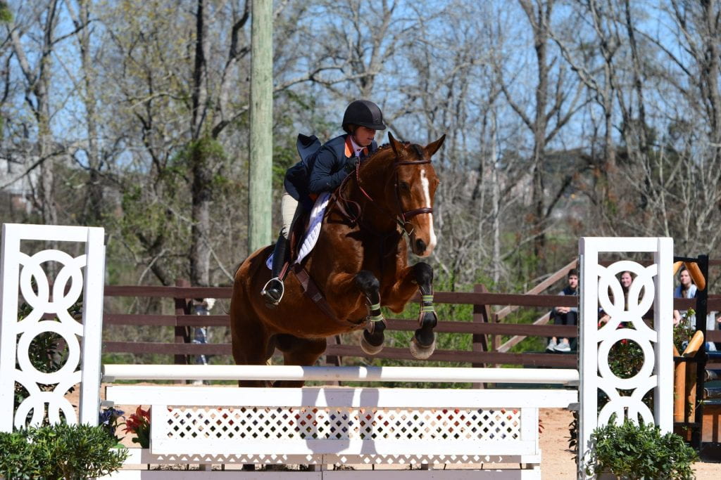 Equestrian rider on brown horse jumping