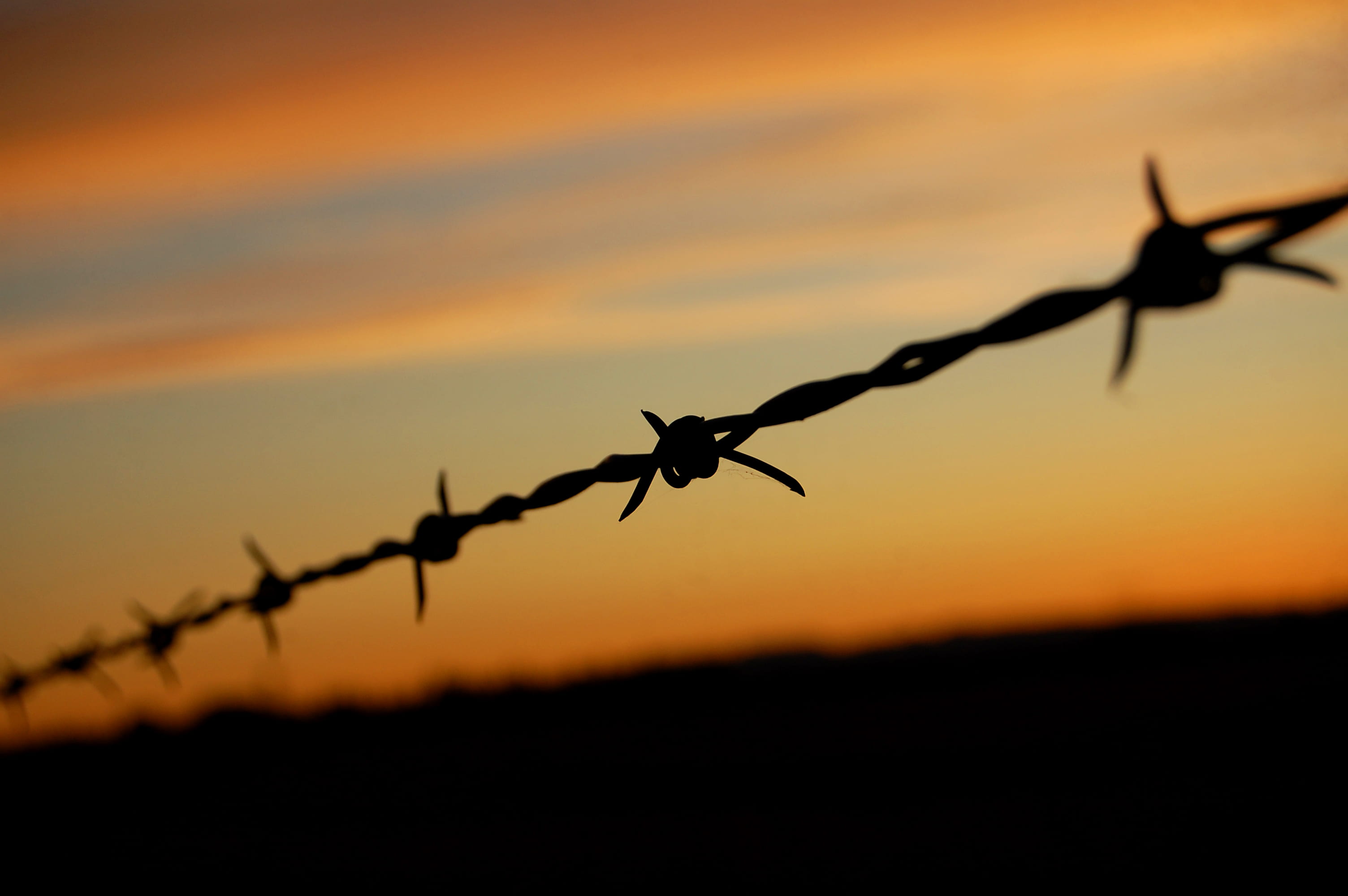 Barbwire fence. Source: Edmund Garman, Creative Commons