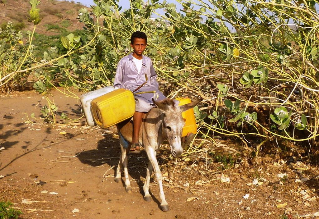 a picture of a Yemini boy on a donkey with gerry cans for water
