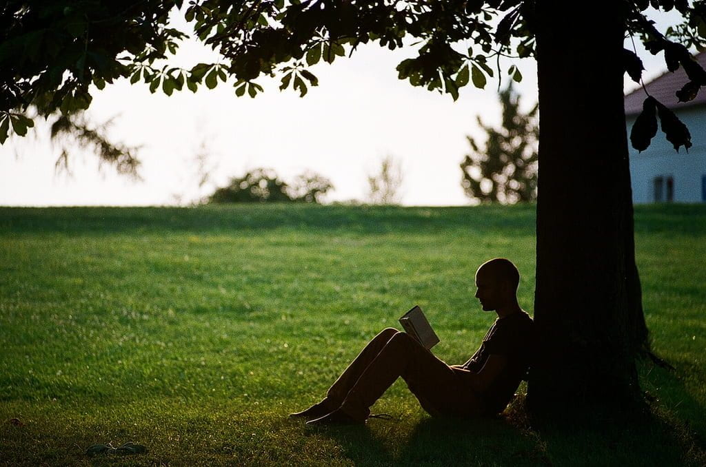 a picture of a guy reading under a tree