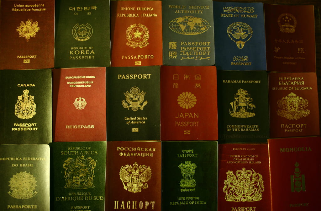 a picture of a bunch of passports