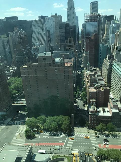 1st Ave from the 29th Floor of the UN