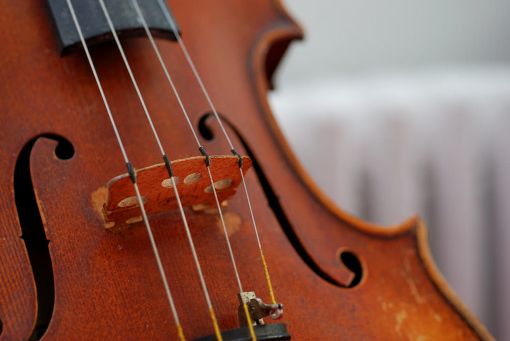 a close-up of a violin