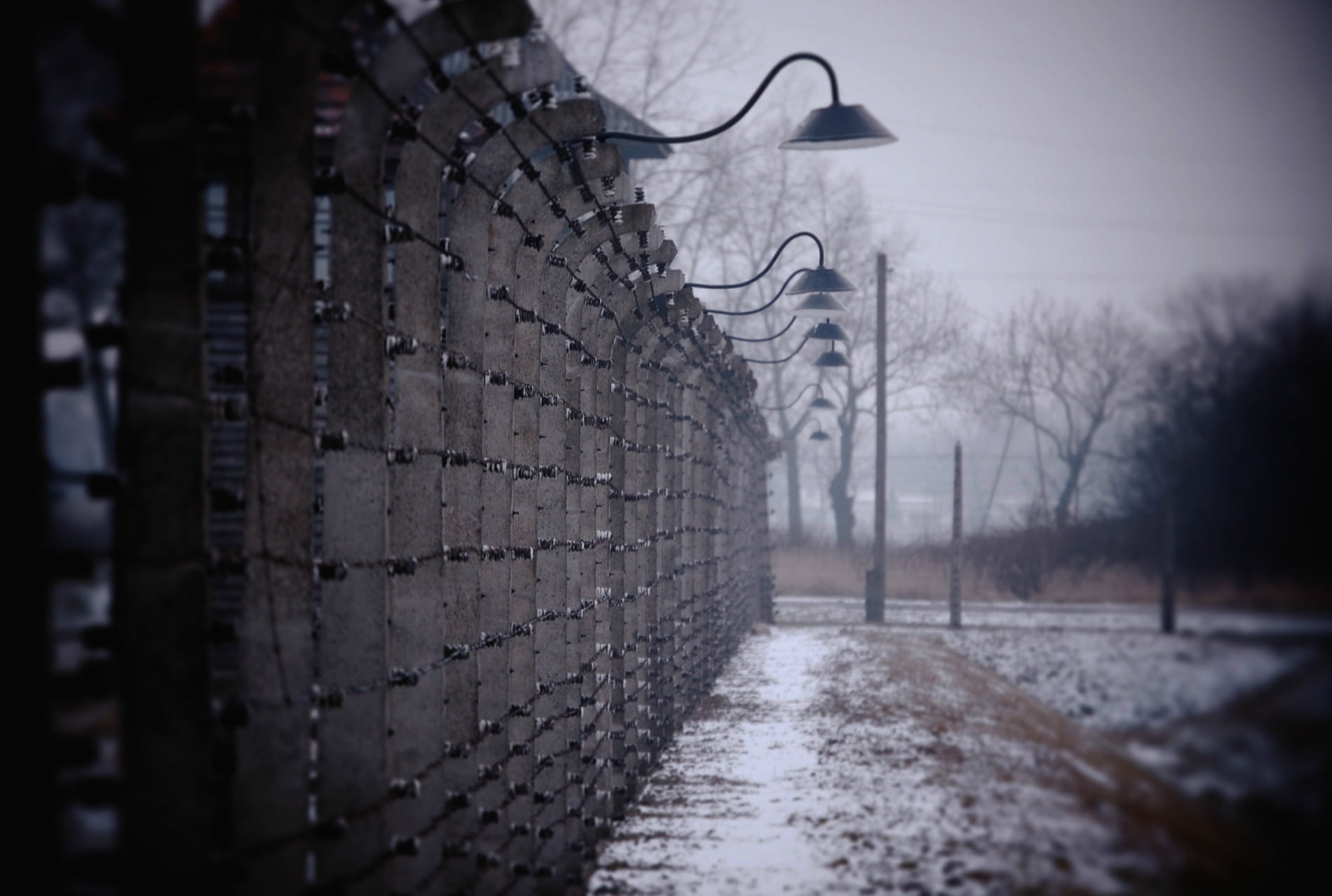 a picture of Birkenau in the snow