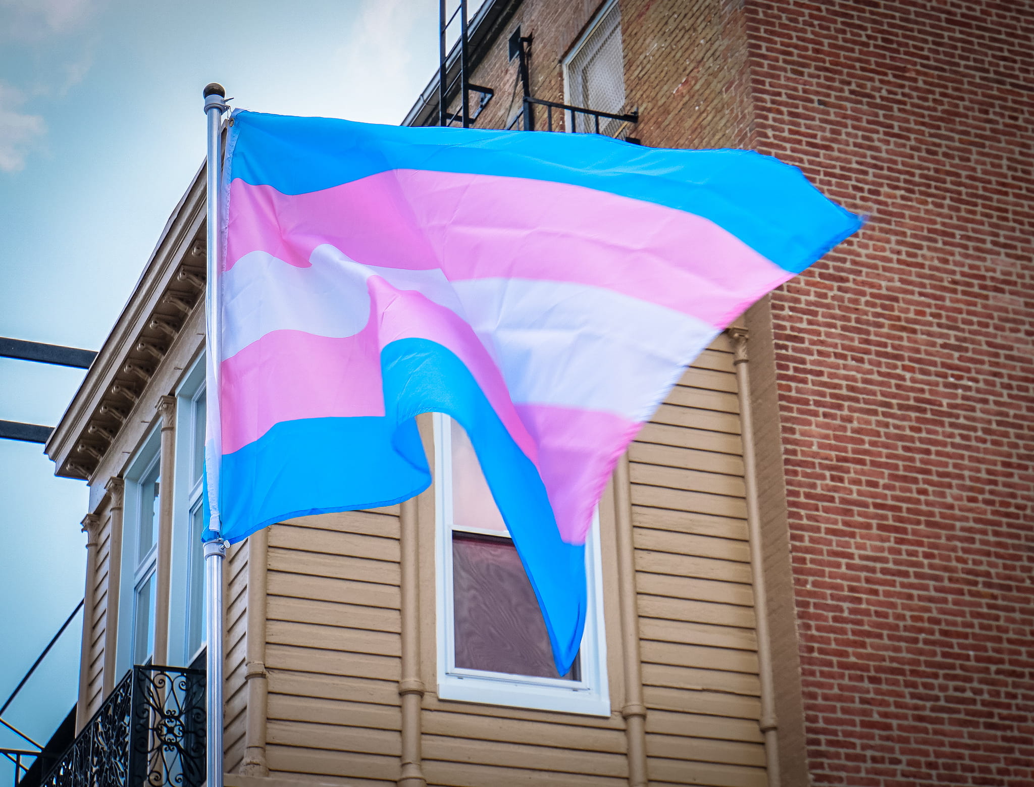 the transgender flag