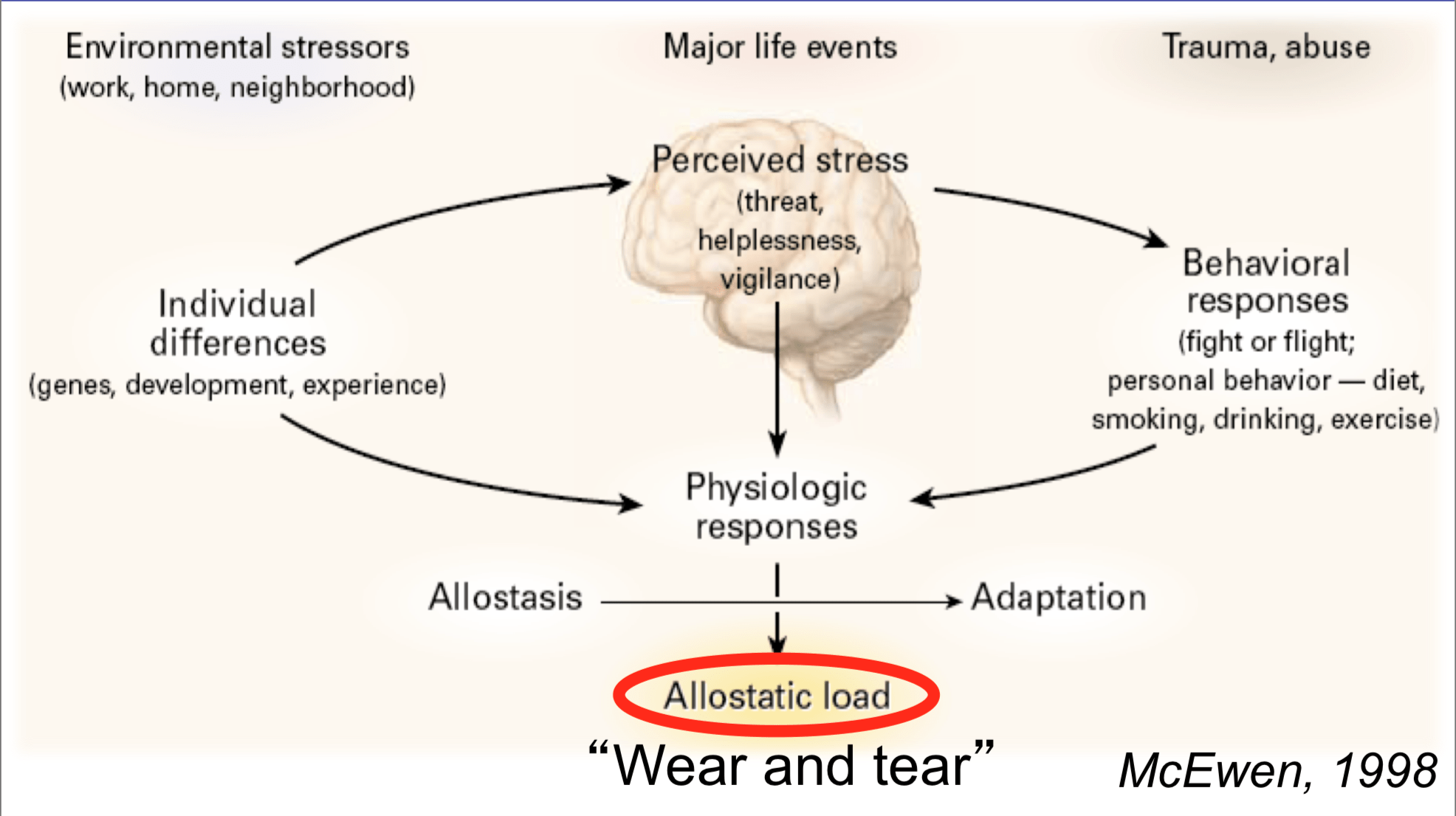 The Allostatic Model of Stress