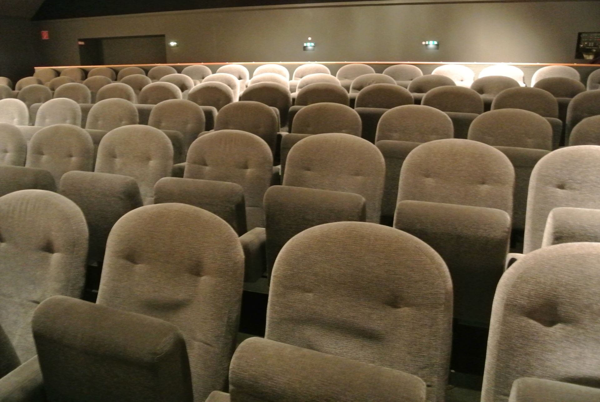 Rows of seats in a movie theater.
