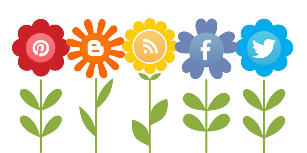 a picture of social media icons as flowers indicating the growth of social media