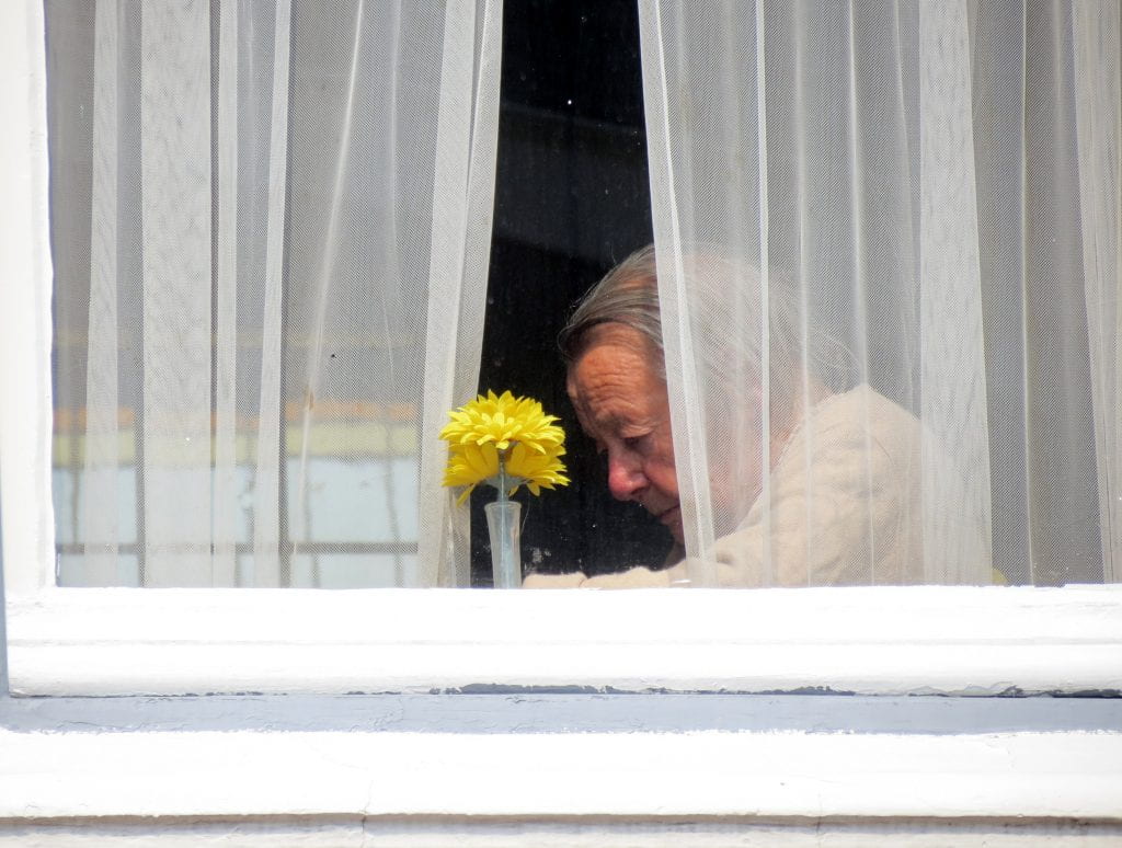 An old woman sits at a window next to a yellow flower in a vase. 