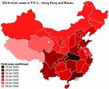 An image of the spread of the coronavirus in January. The Wuhan province is shown to be the most effective, colored in black.