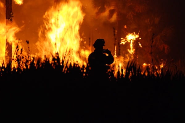 The  Causes and Consequences of California’s Wildfires