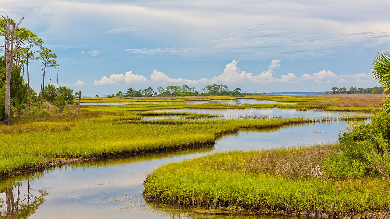 The Restoration of the Everglades: A Big Win for Environmental Rights
