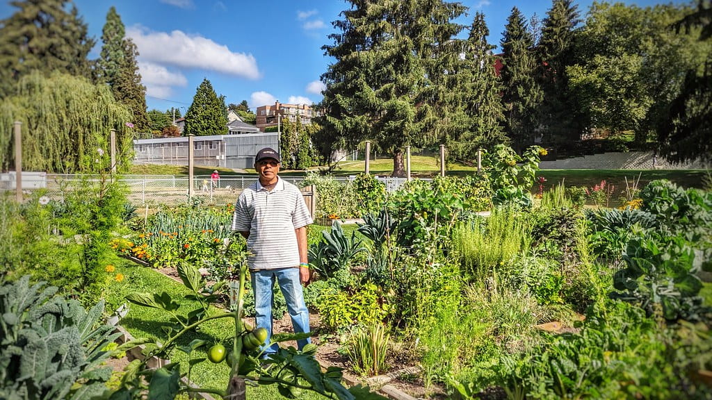 I decided to include this image to showcase how community gardens can help in the fight against food insecurity