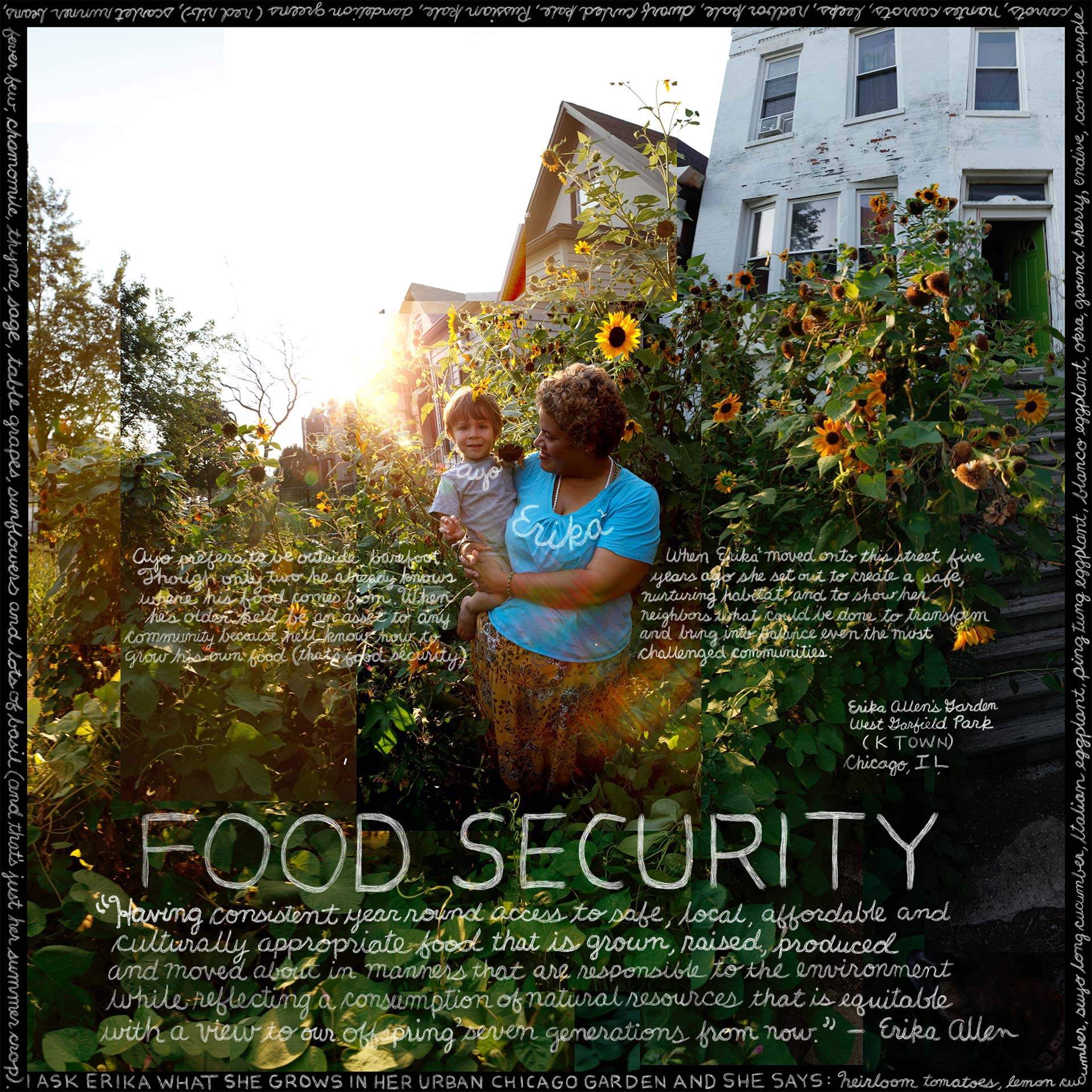 To portray what food security means to those experiencing food insecurity