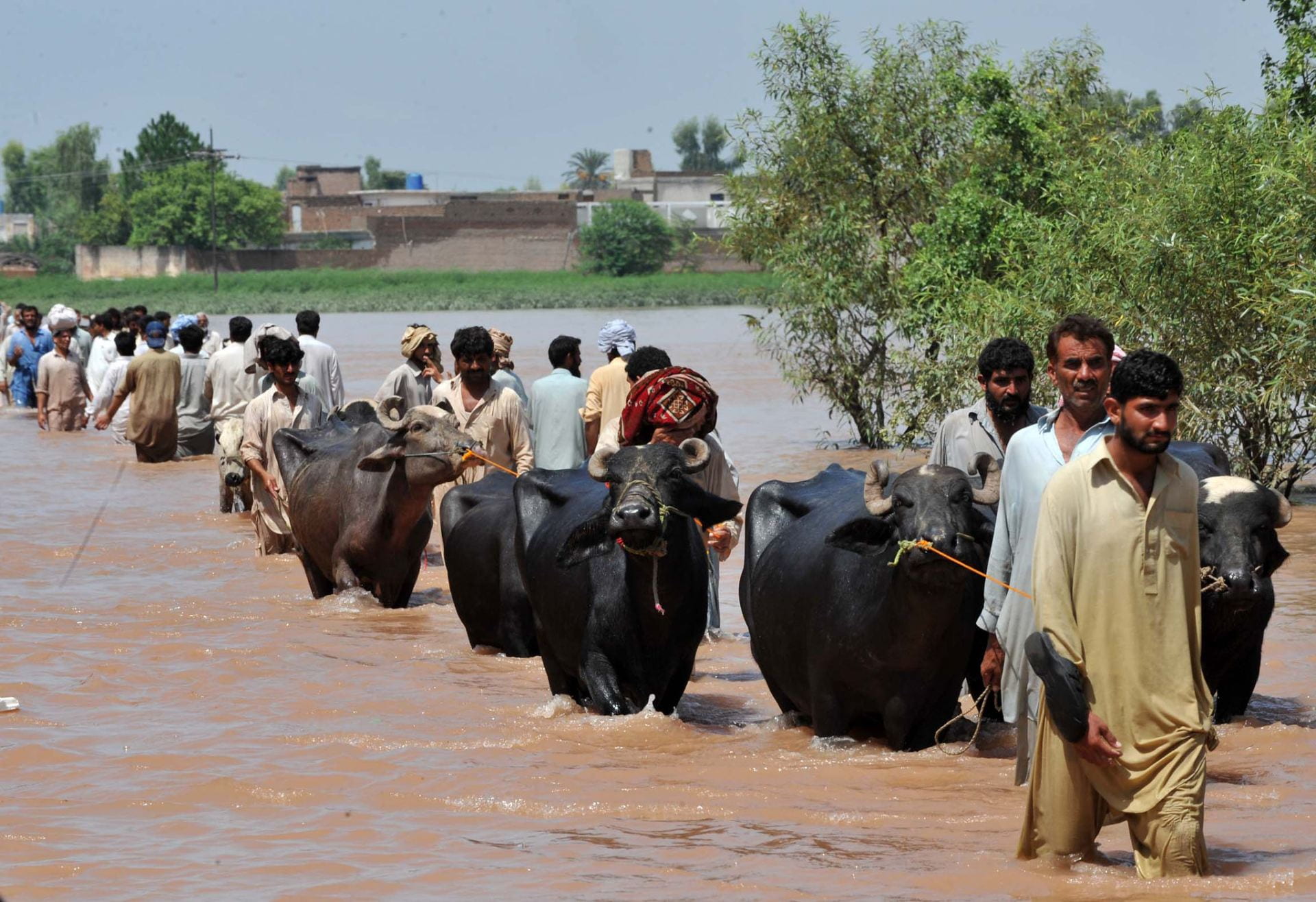 Pakistan’s Floods : A Humanitarian and Climate Crisis