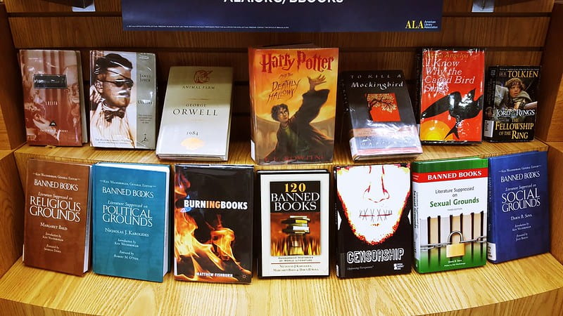 A collection of books that have been banned or proposed to be banned on a wooden shelf.