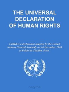 The UDHR document