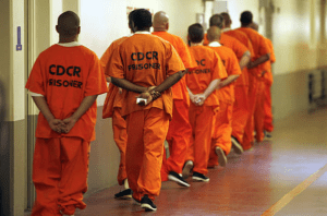 A line of prisoners in orange jumpsuits with hands behind backs