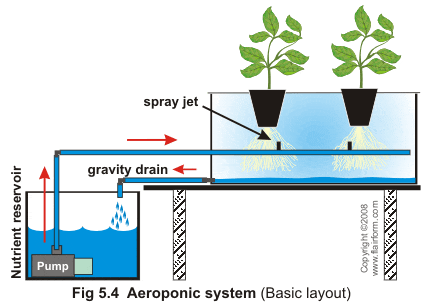 An image of an aeroponics system that makes use of an air pump and the laws of gravity to produce crops. 