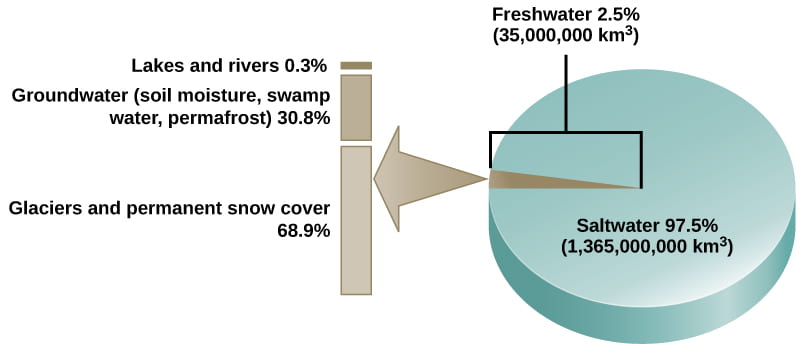 A pie chart showcasing how much freshwater and saltwater there is on Earth. 
