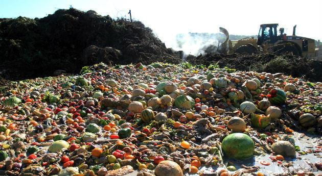 An image of a food waste mountain at a landfill. 