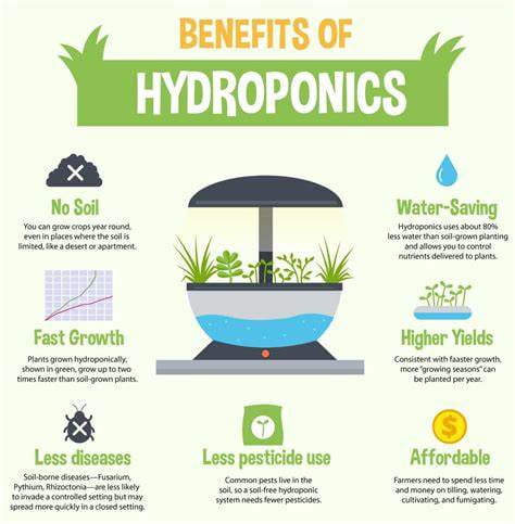 Benefits of Hydroponics are listed on this infographic. These benefits propose that this method does not require soil, saves water, produces higher yields and faster growth, produces less disease, and requires less pesticide use. 