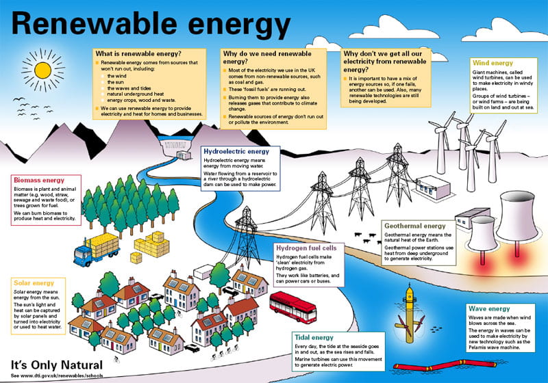 An infographic that depicts the various forms of renewable energy, including hydropower, solar, wave, wind, biomass, and other forms of renewable energy sources