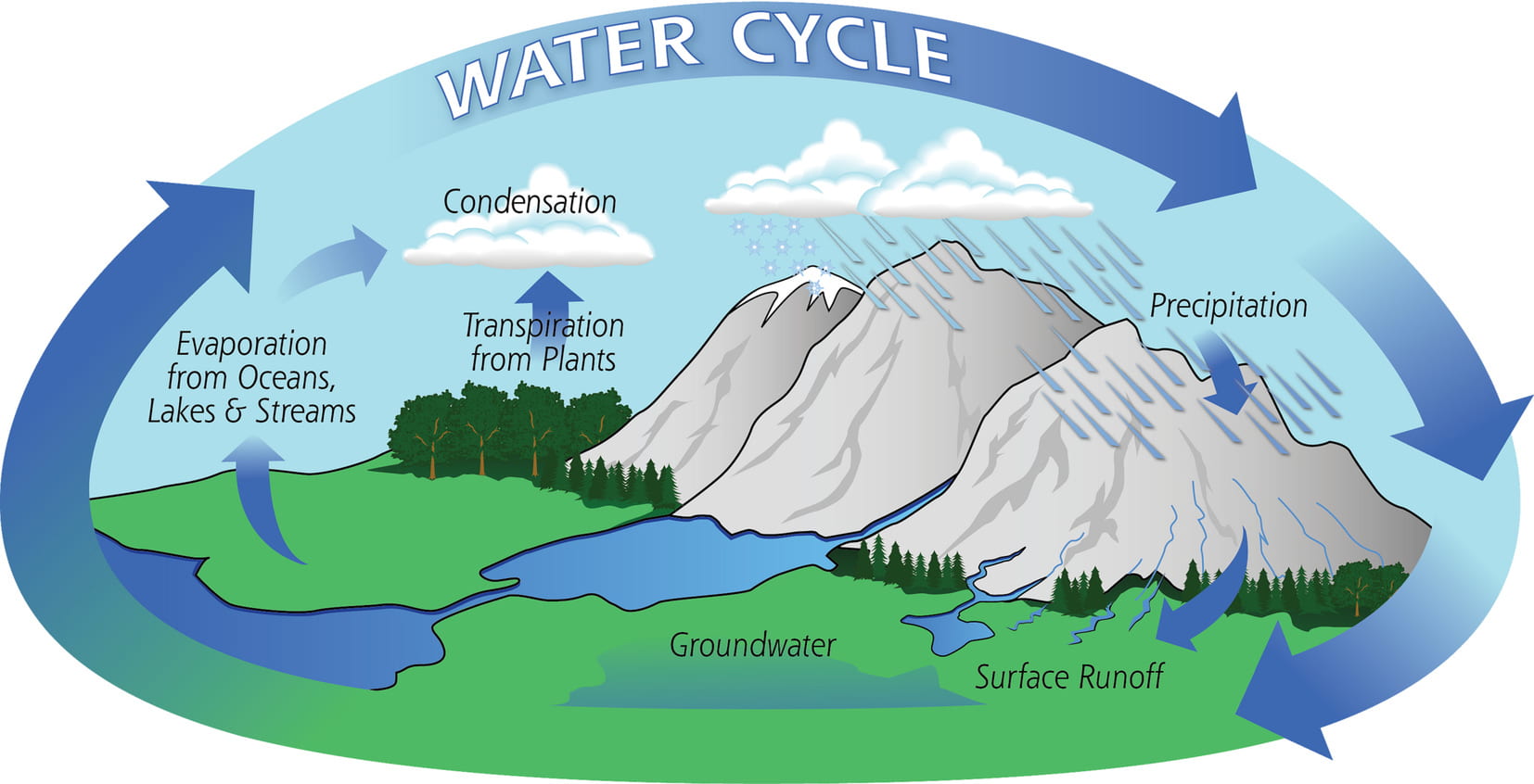 An image of the water cycle