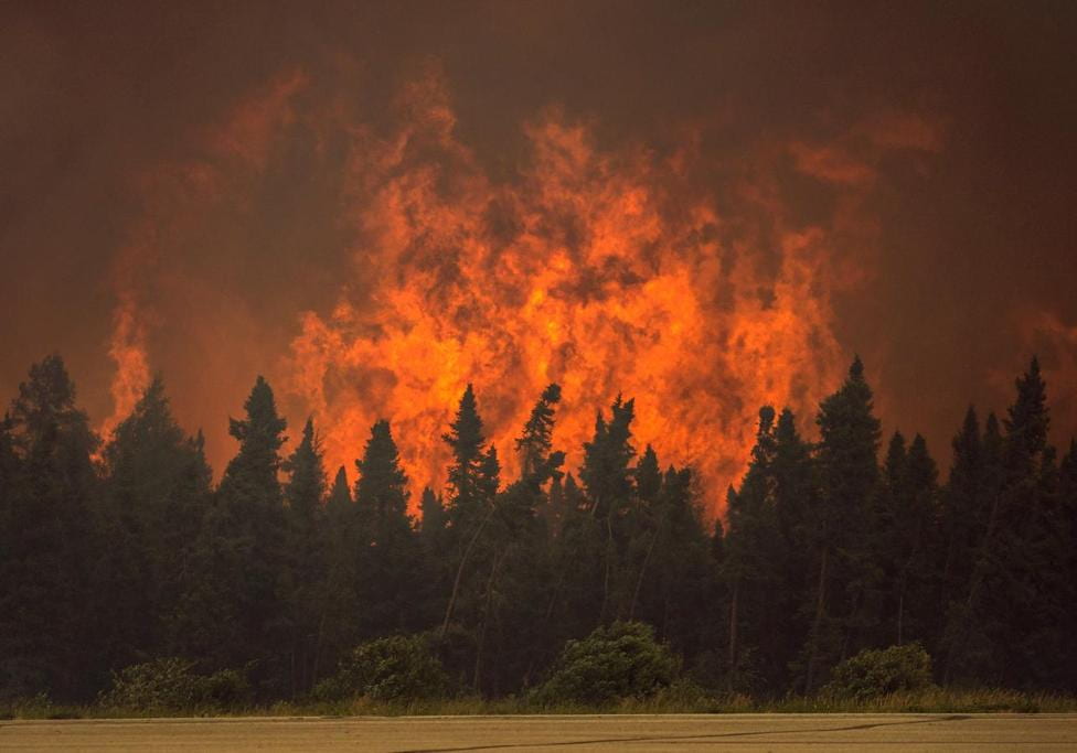 A huge wildfire burns in front of a dark sky and behind a row of trees in Quebec.