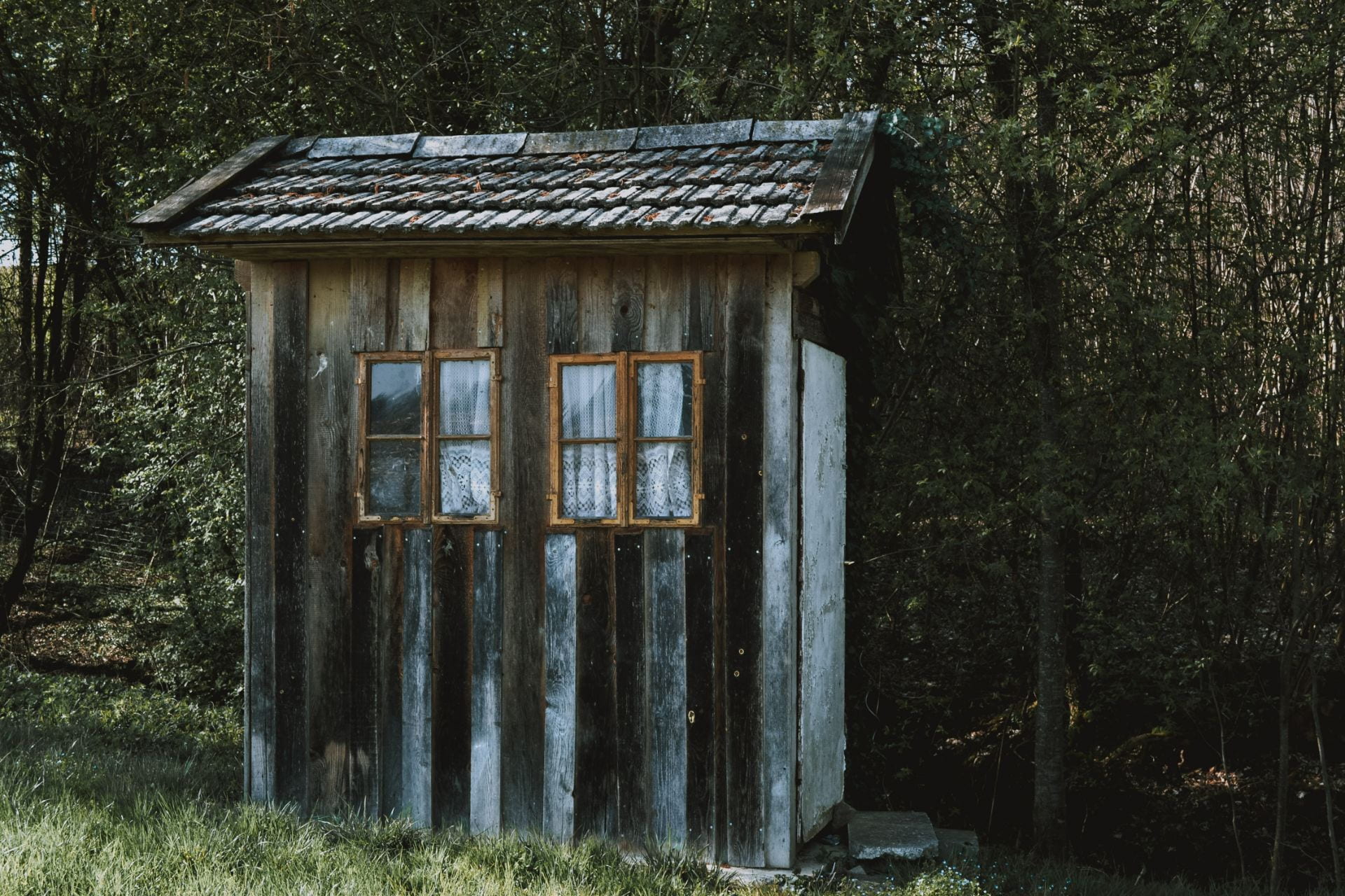 A dilapidated wooden shed with some white paint on the door and bottom boards. It has two windows with broken glass and rusty frames. Behind it its dense woods.