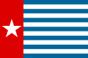 A flag with blue and white strips with a red stripe and a star