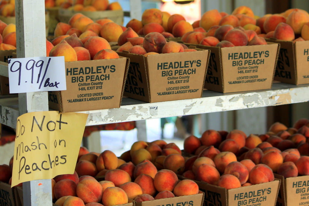 Cardboard boxes full of bright orange peaches sit on shelves. The boxes read "Headley's Big Peach. Chilton County I-65 Exit 212. Located under Alabama's largest peach." There is a sign saying, "$9.99 per box, Do not mash on peaches."