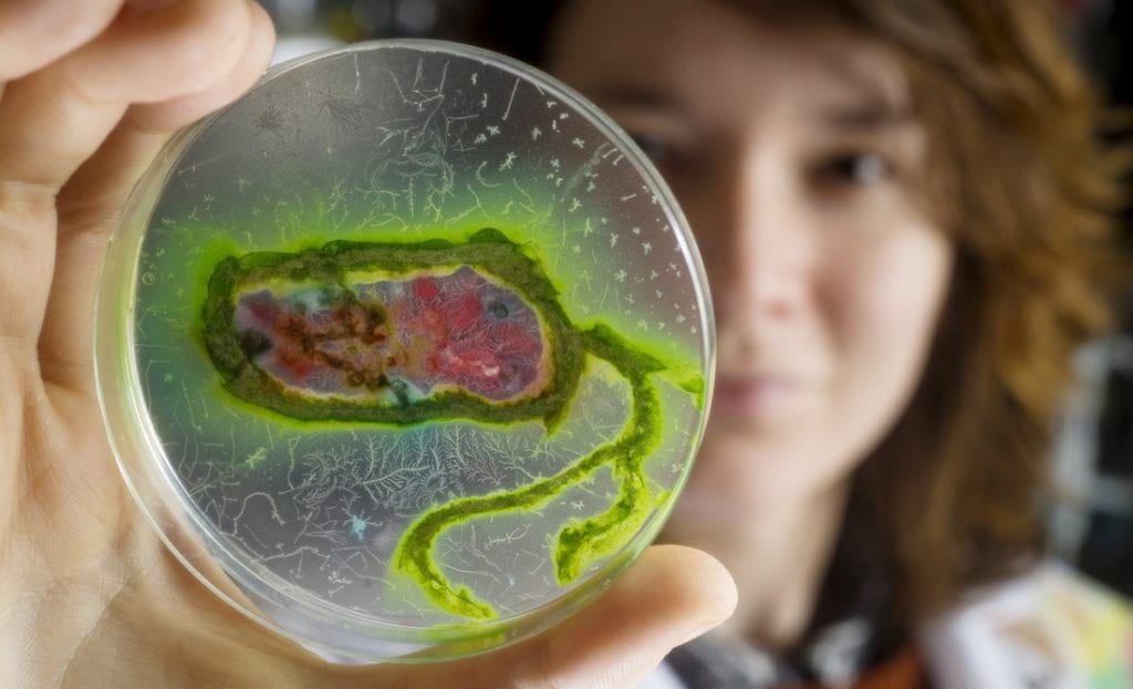 person holding petri dish with colorful content toward camera