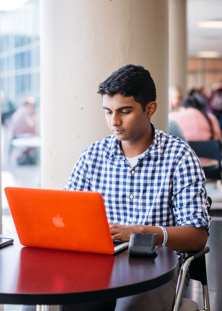 student working at computer (courtesy of UAB Image Gallery)