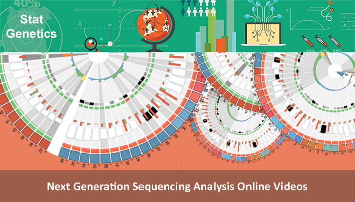 Next Generation Sequencing Analysis