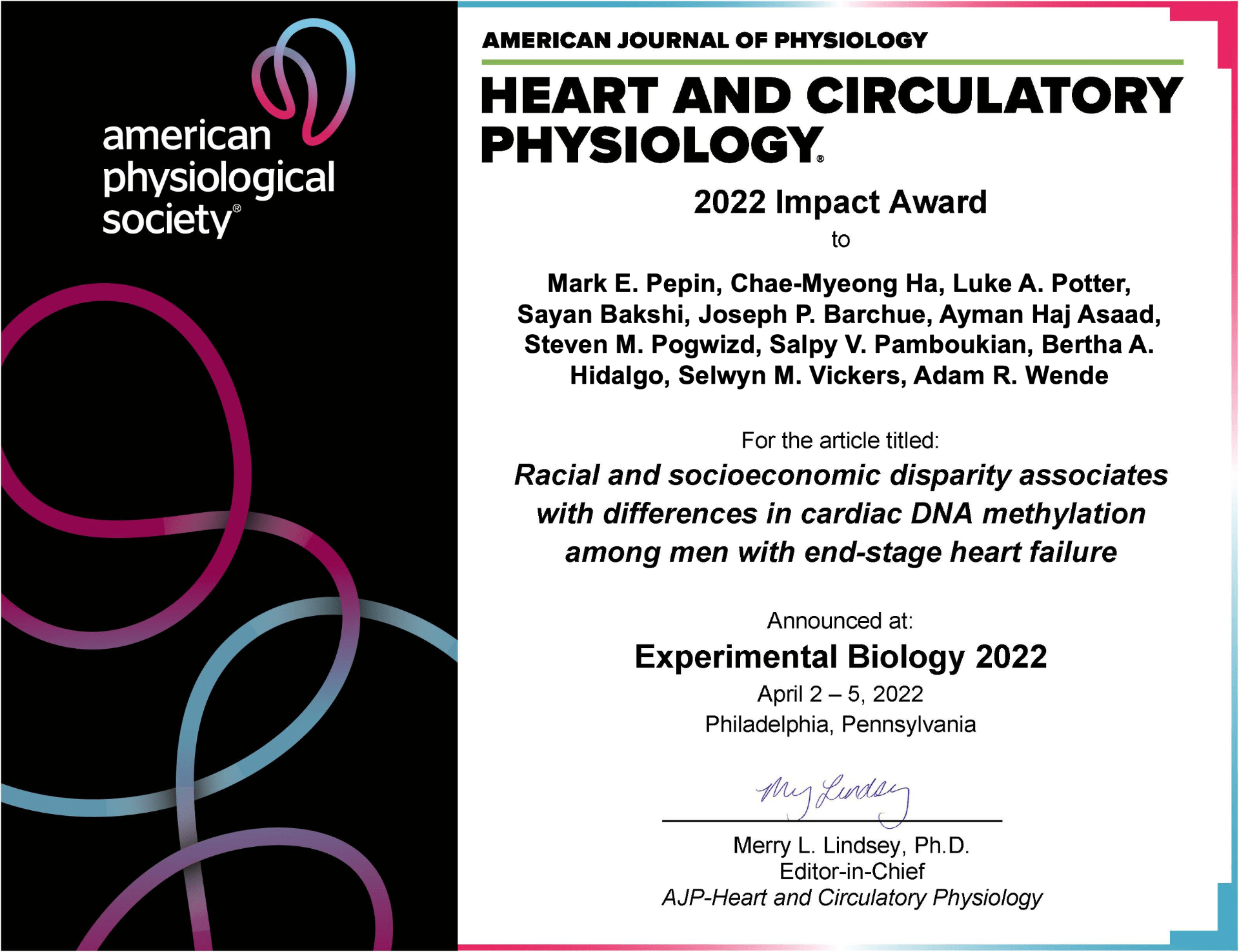 Winner of the AJP-Heart & Circulatory Physiology 2022 Impact Award