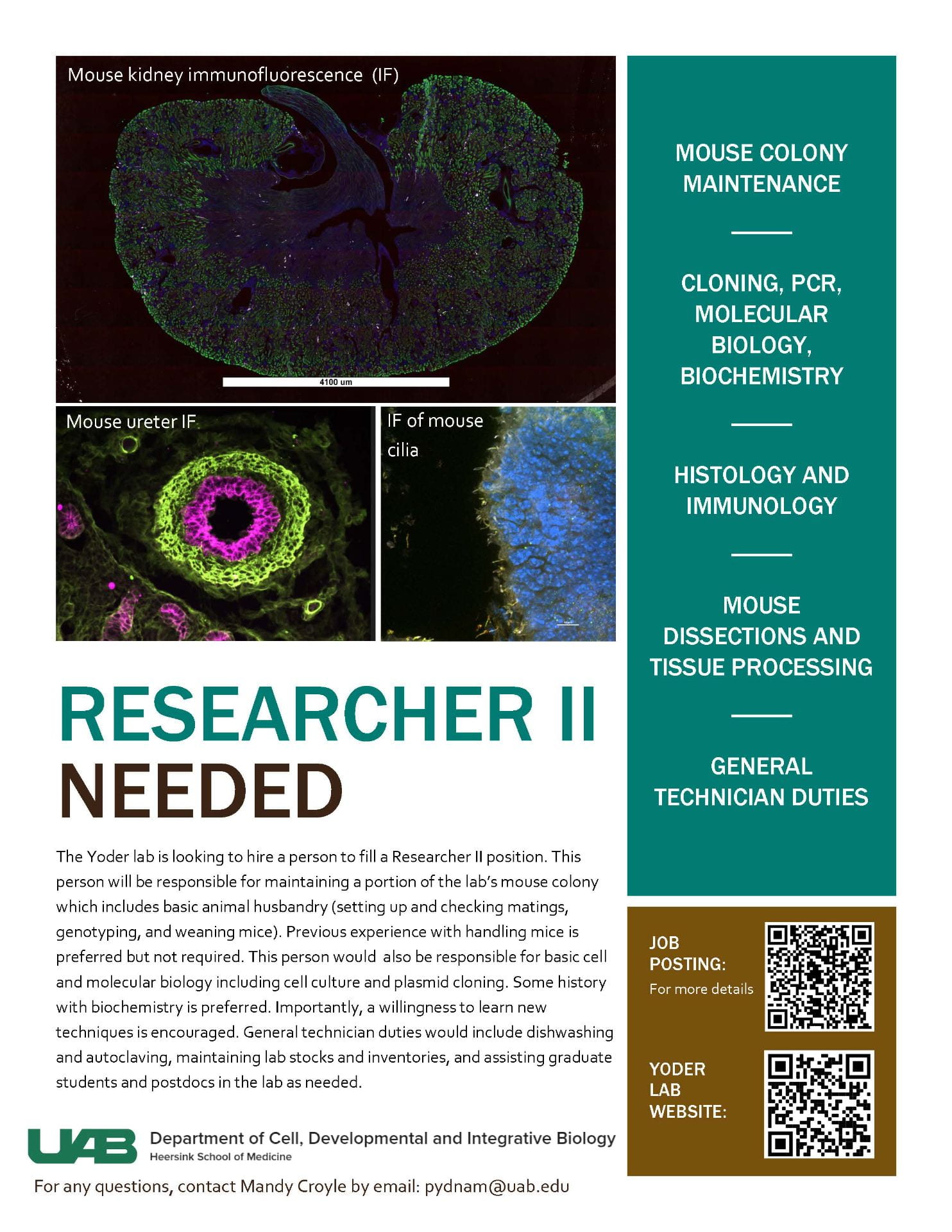Researcher II / Lab Technician Needed